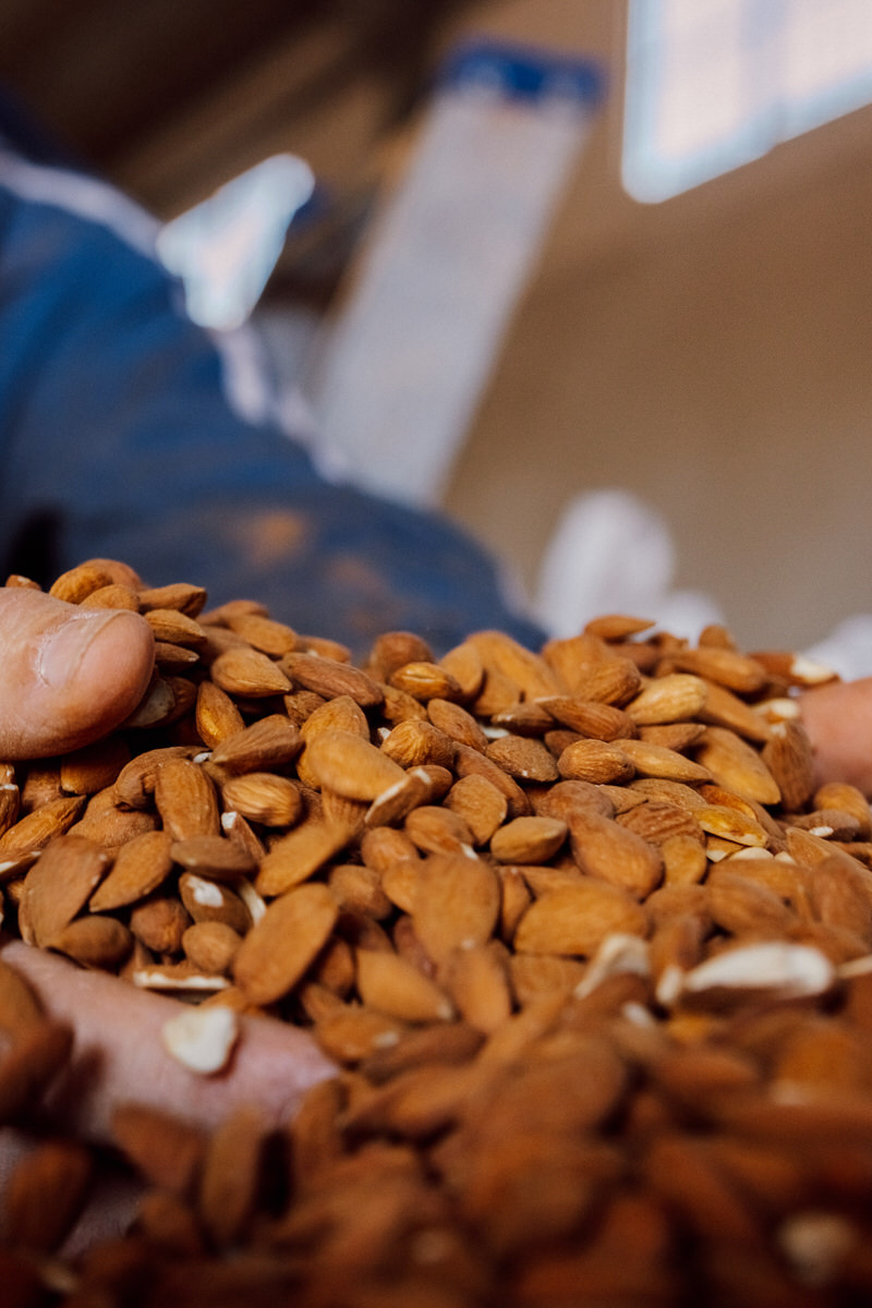 almendra_pepita vertical